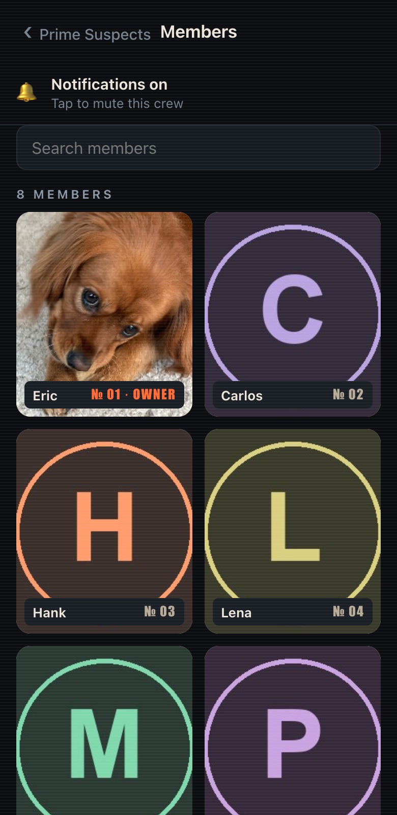 Member lineup as a grid of mugshot-style cards
